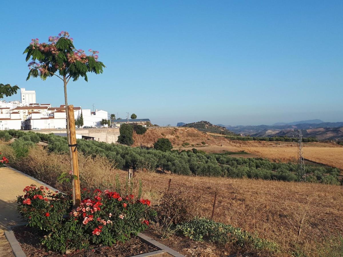 The Jasmine House Ξενοδοχείο Olvera Εξωτερικό φωτογραφία
