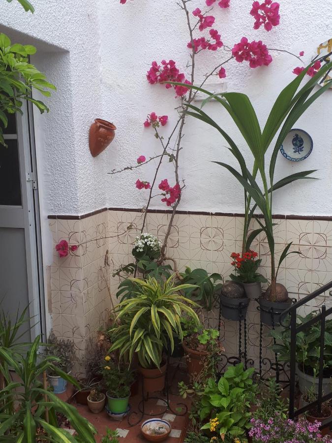 The Jasmine House Ξενοδοχείο Olvera Εξωτερικό φωτογραφία